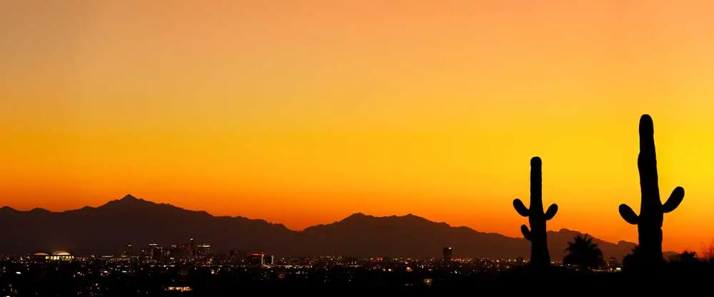 Phoenix during sunset
