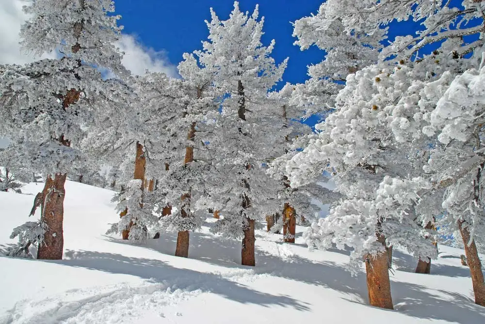 Winter in den Ariondack Mountains